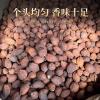 Wholesale Tsao-Ko - Bulk Economical Pack - Cooking - front/product.image 4
