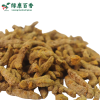 LvKang Spice: Bulk China Certified Organic Turmeric - Yunnan Origin - front/product.image 5