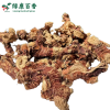 Bulk Galangal for Braising & Stewing - LvKang - front/product.image 3