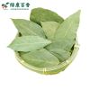 LvKang Spice: Bulk Premium Dried Bay Leaves - Yunnan - front/product.image 1