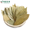 LvKang Spice: Bulk Premium Dried Bay Leaves - Yunnan - front/product.image 4