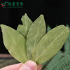 Dry fragrant leaf planting base - source factory supplying high-quality fragrant leaves - Lvkang Spice - front/product.image 2