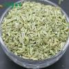 LvKang Spice: Bulk Premium Fennel Seeds - Gansu - front/product.image 3