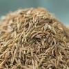 Bulk Cumin Seeds for BBQ & Lamb Dishes - LvKang - front/product.image 3