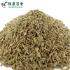 Bulk Cumin Seeds for BBQ & Lamb Dishes - LvKang - front/product.image 6