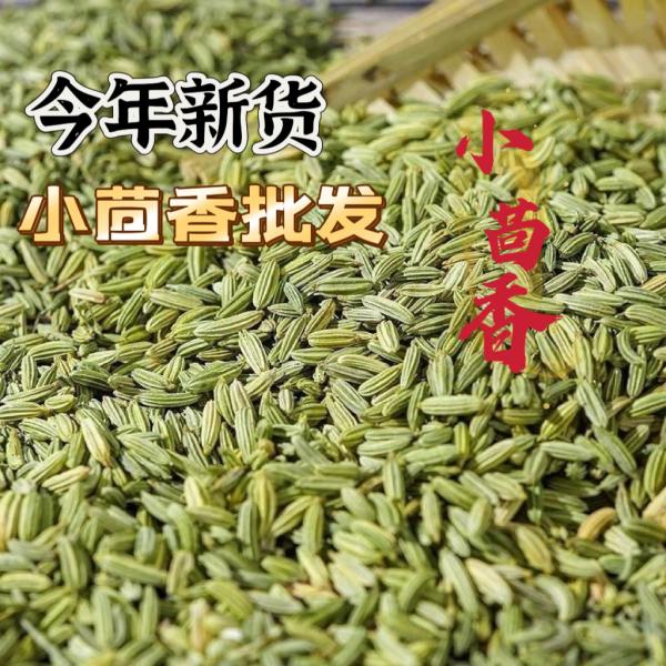 Wholesale Fennel Seeds - Bulk Economical Pack - Cooking - front/product.image 5