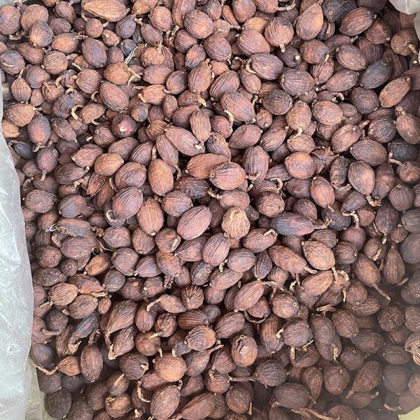 Bulk Tsao-Ko for Braising & Stewing - LvKang - front/product.image 4