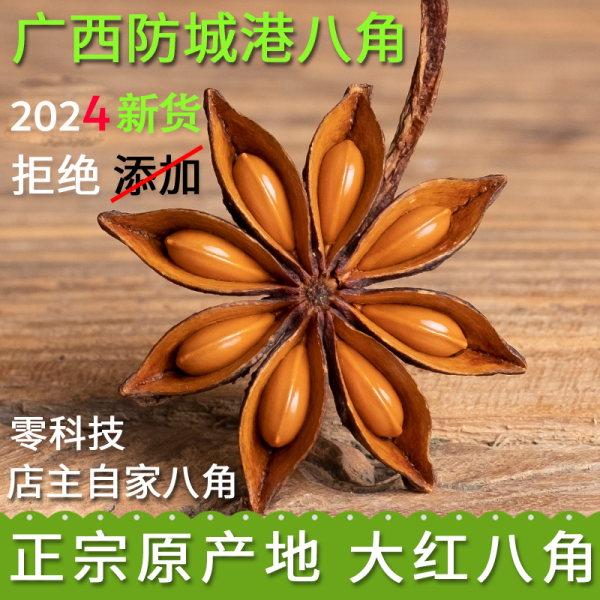 Star Anise Wholesale - Premium Quality Spices