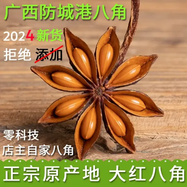 Star Anise Wholesale - Premium Quality Spices