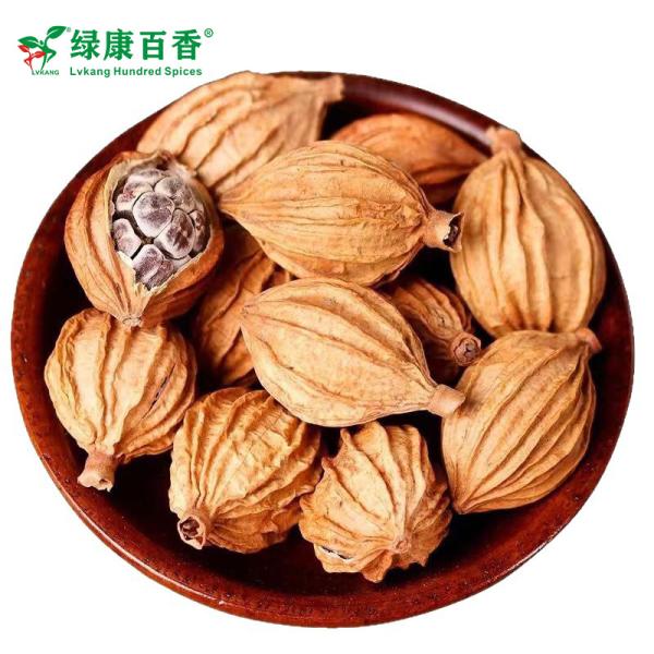 Wholesale Amomum Villosum - Bulk Economical Pack - Cooking - front/product.image 3