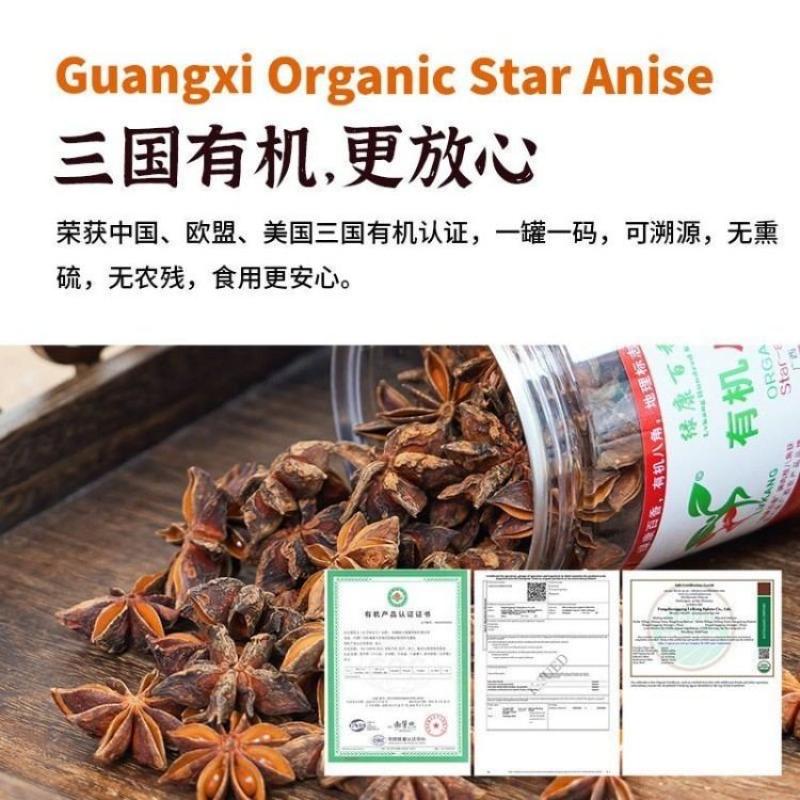 Star Anise 100g - Wholesale Spices | Star Anise | Multiple Sizes / Premium Quality | Image 2