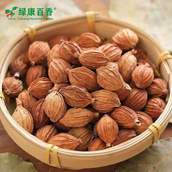 Wholesale Amomum Villosum - Bulk Economical Pack - Cooking - front/product.image 5