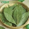 Wholesale Dried Bay Leaves - Bulk Economical Pack - Western Cuisine - front/product.image 5