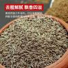 Wholesale Cumin Seeds - Bulk Economical Pack - Cooking - front/product.image 3