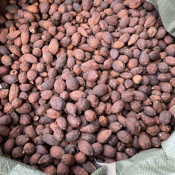 Bulk Tsao-Ko for Braising & Stewing - LvKang - front/product.image 2