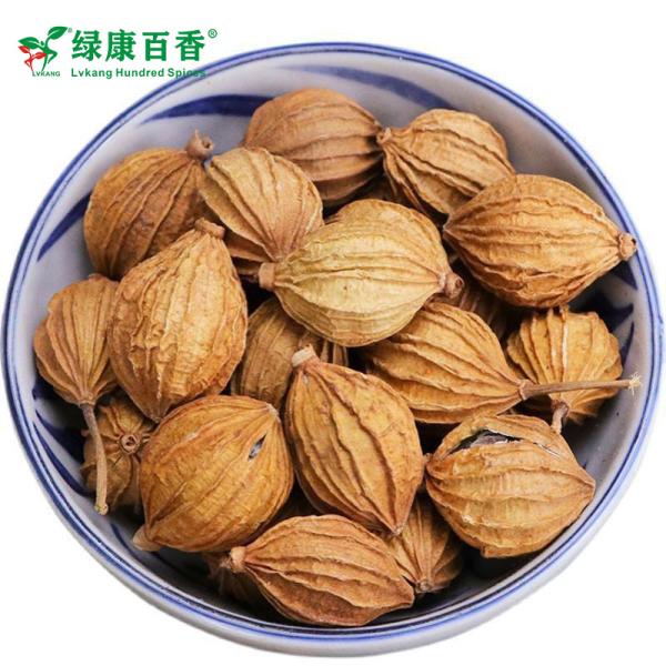 Wholesale Amomum Villosum - Bulk Economical Pack - Cooking - front/product.image 2