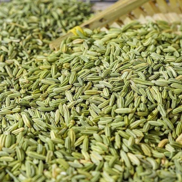 Wholesale Fennel Seeds - Bulk Economical Pack - Cooking - front/product.image 4