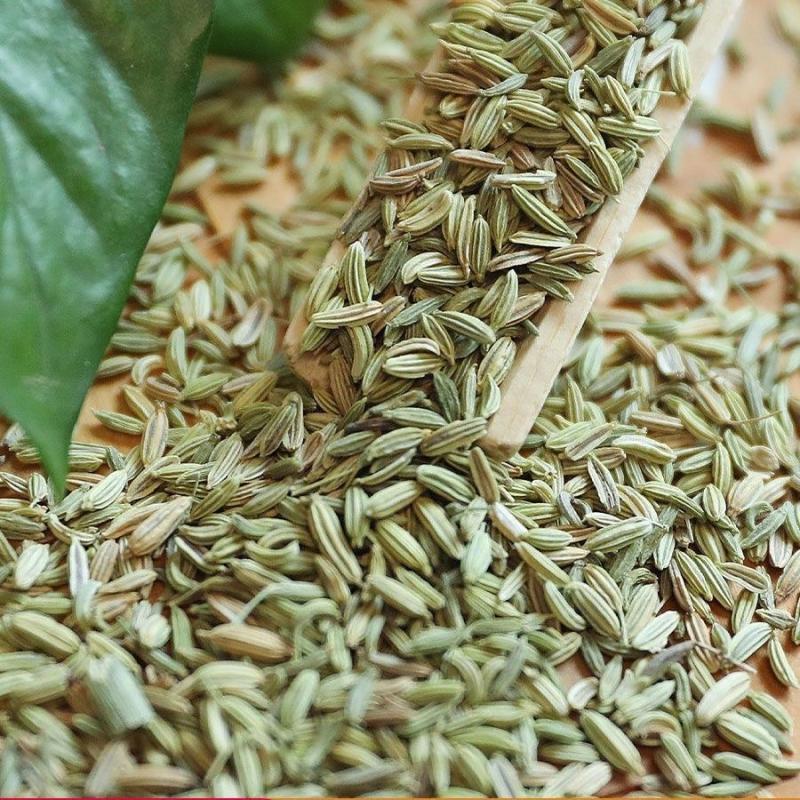 Wholesale Fennel Seeds - Bulk Economical Pack - Cooking