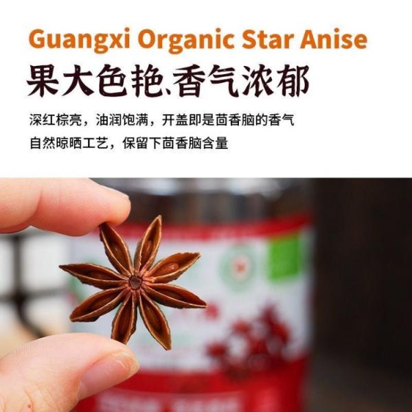 Star Anise 100g - Wholesale Spices | Star Anise | Multiple Sizes / Premium Quality | Image 2