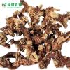 Bulk Galangal for Braising & Stewing - LvKang - front/product.image 3