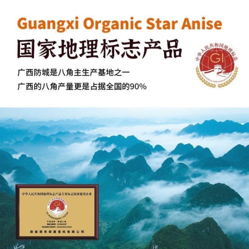 Star Anise 100g - Wholesale Spices | Star Anise | Factory Direct / Best Seller | Image 2