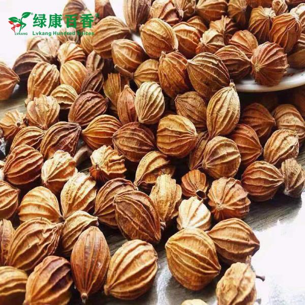 Bulk Amomum Villosum for Qi Regulation - LvKang - front/product.image 4