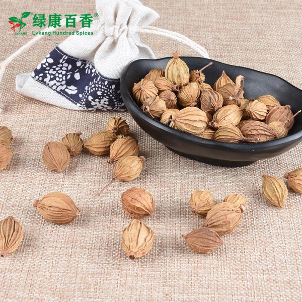 LvKang Spice: Bulk Premium Amomum Villosum - Yunnan - front/product.image 4