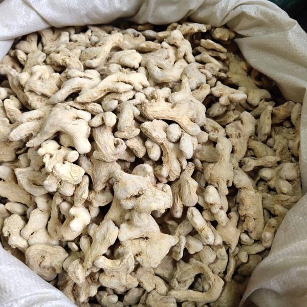 Bulk Dried Ginger Slices for Warming & Deodorizing - LvKang - front/product.image 3