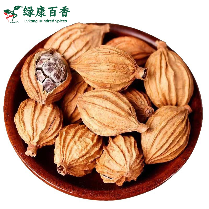 供应优质香砂批发 - 云南特产